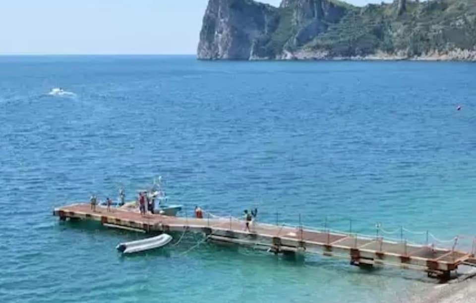 F52AC0BC-8B0C-46E4-B1AF-9A2E5325931F